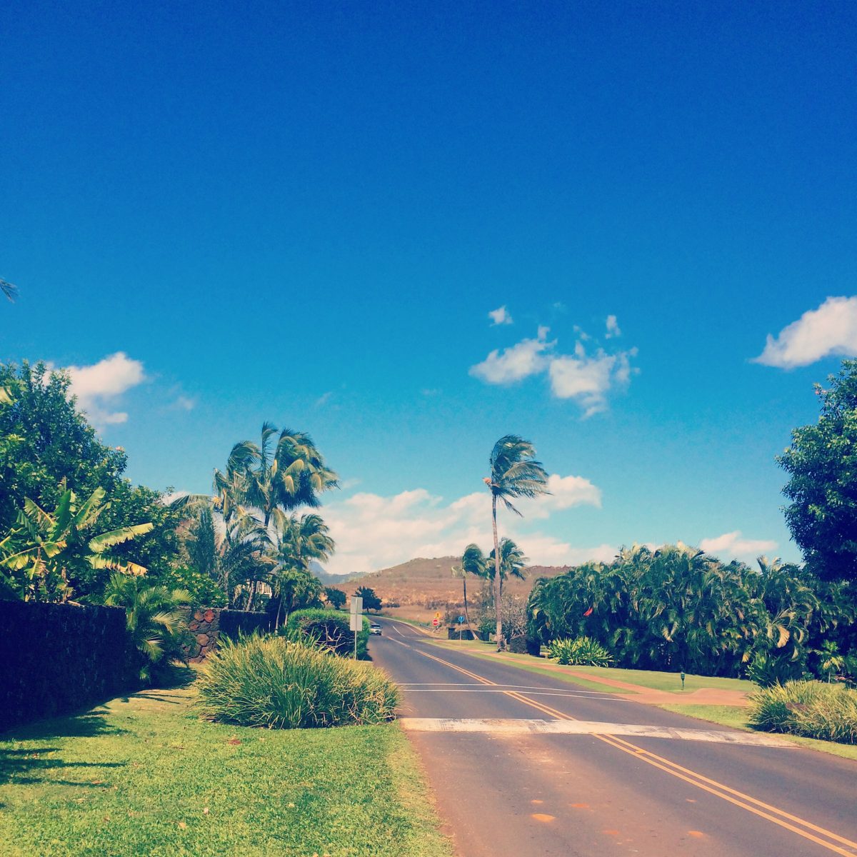 Reflections on Kauai, Hawaii