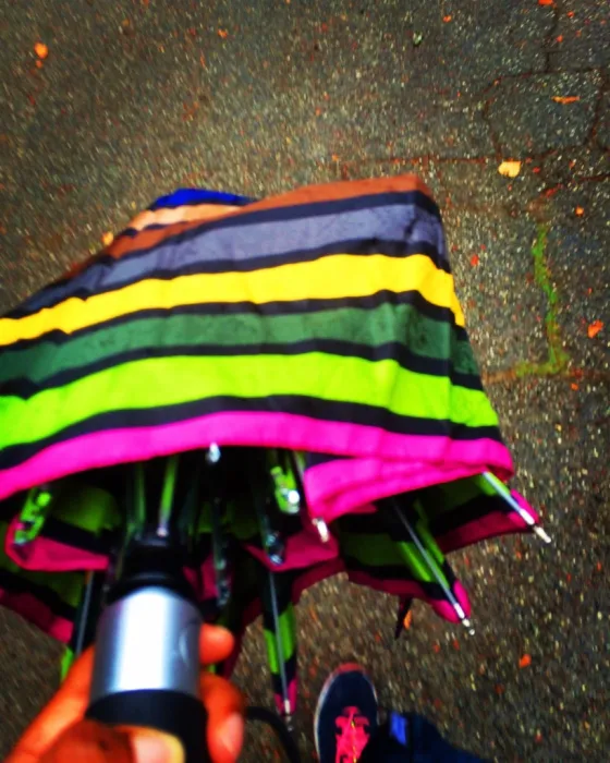 Project 365: Days 259-277